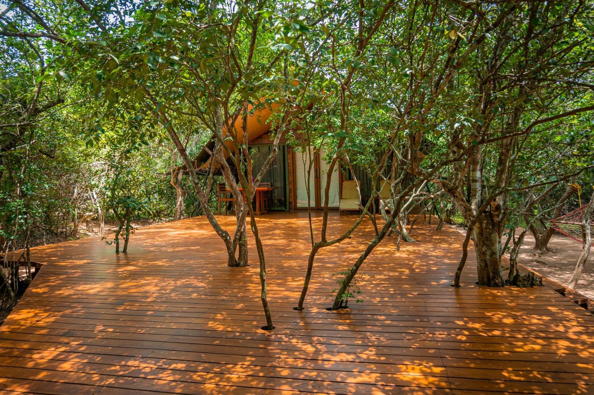 Leopard Reach Yala By Seven Angels Hotel Tissamaharama Kültér fotó